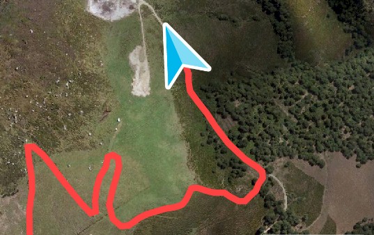 gps twonav anima gps twonav anima